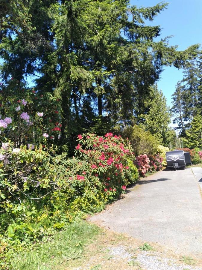 Dolphin Motel Tofino Kültér fotó
