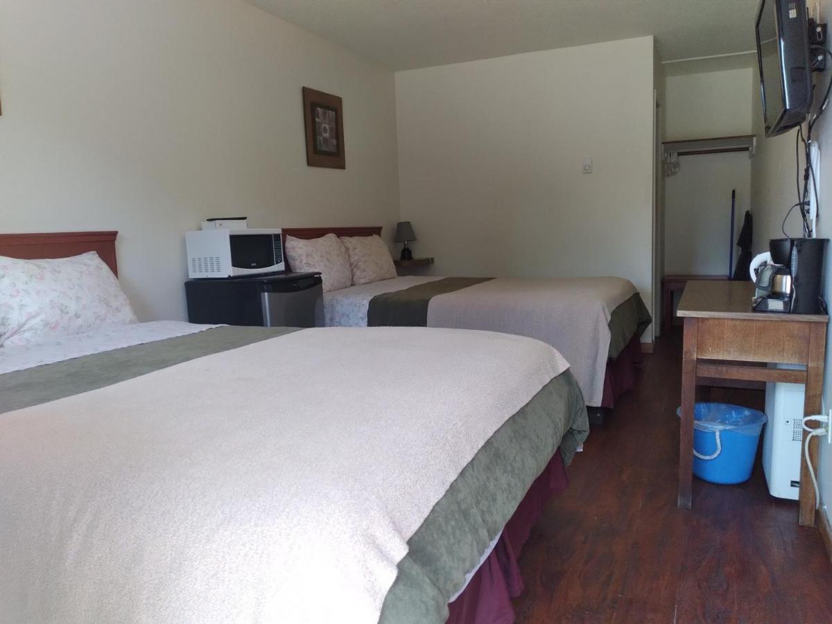 Dolphin Motel Tofino Kültér fotó