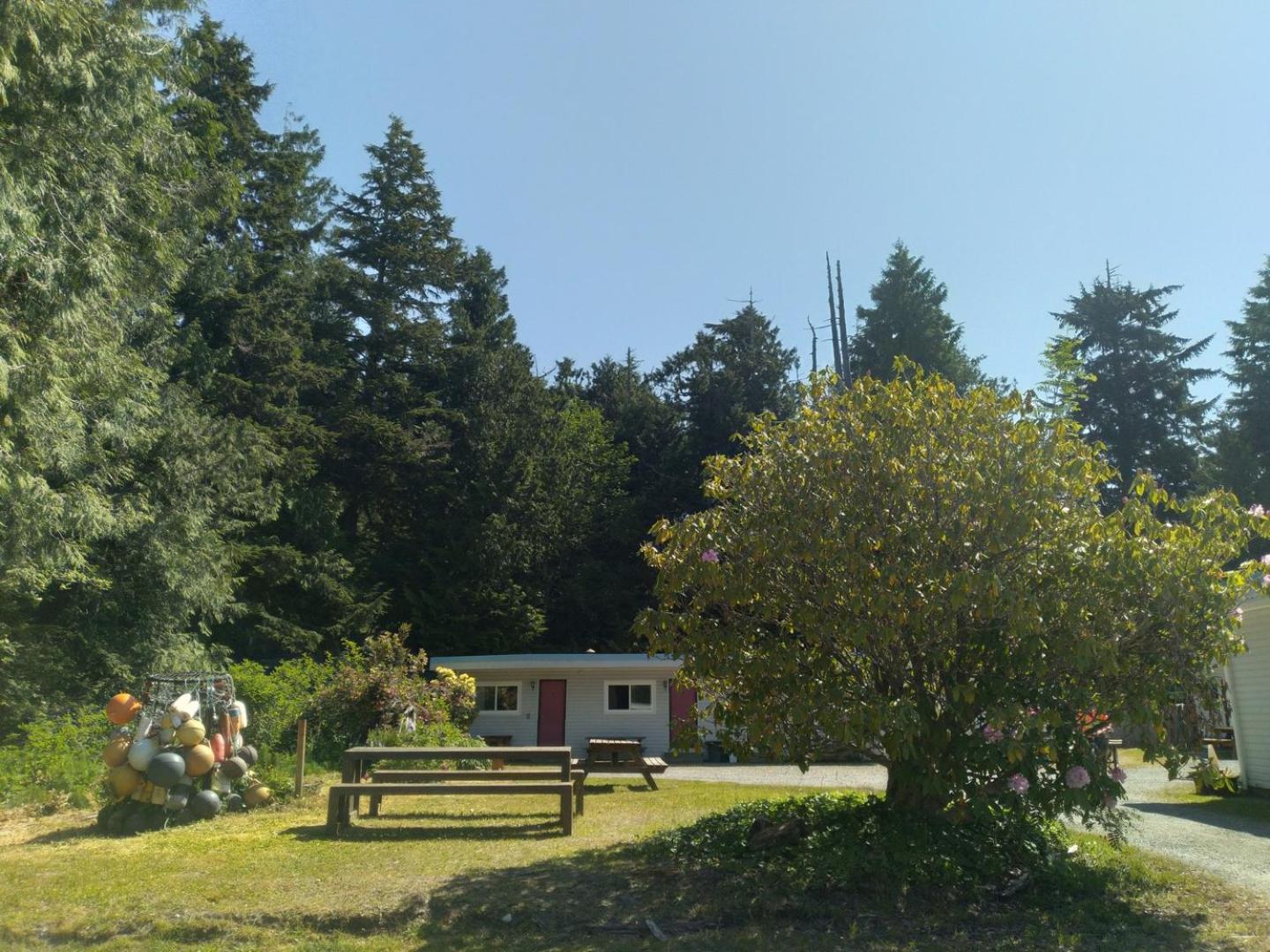 Dolphin Motel Tofino Kültér fotó